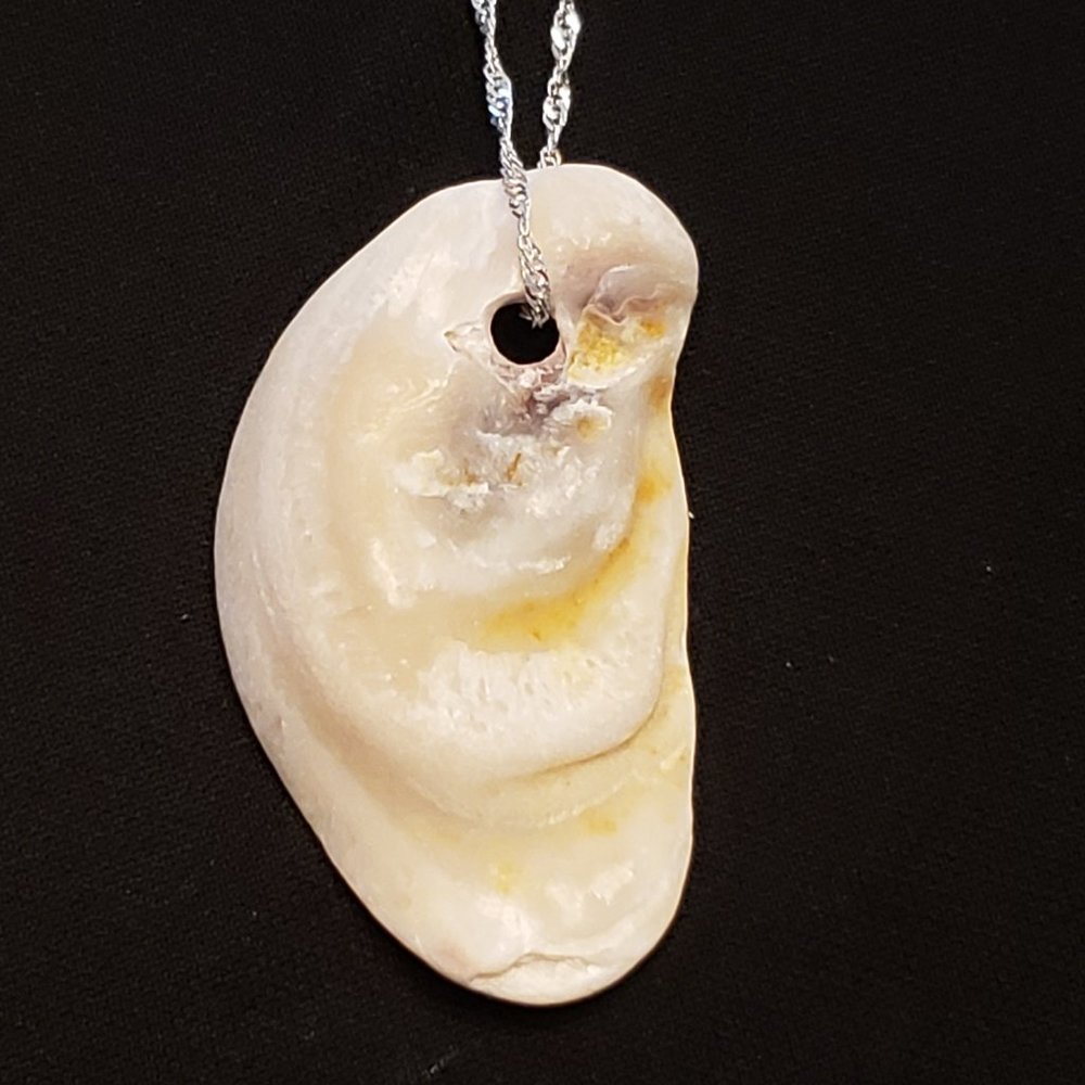 Ocean Treasures Collection artisan shell necklace w/20" 925plated Sterling chain